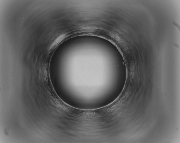 X0000098221354200804241334