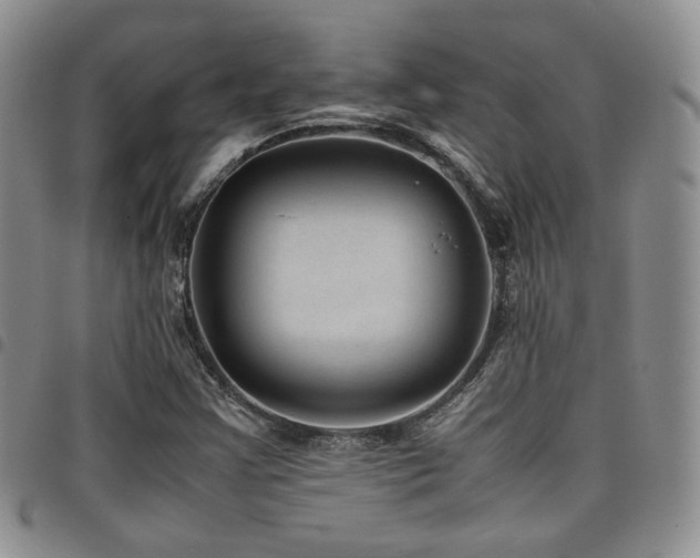 X0000098221355200804241334
