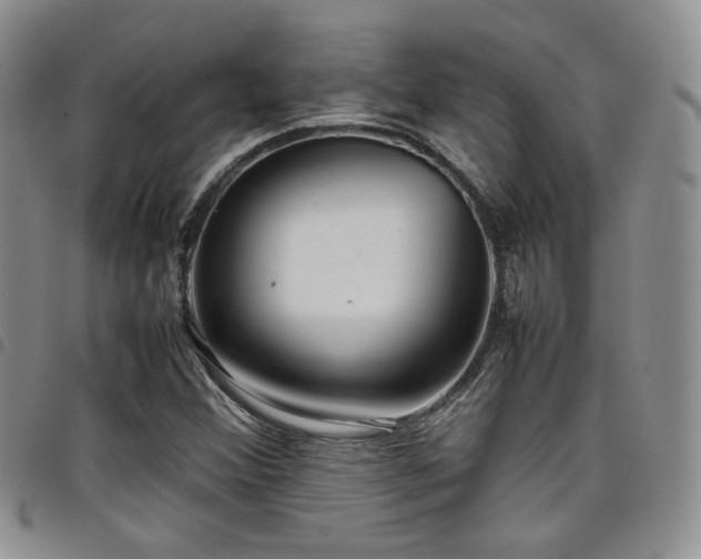 X0000098221356200804241334