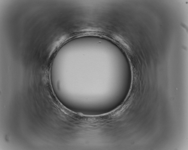 X0000098221357200804241334