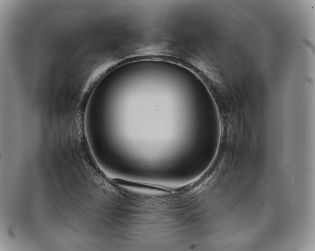 X0000098221358200804241334