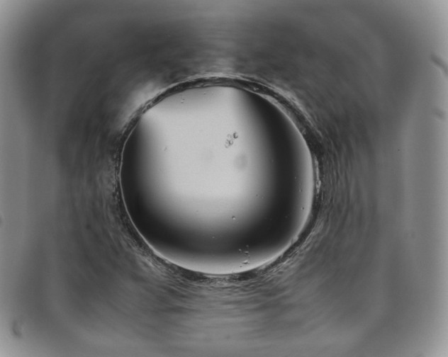 X0000098221359200804241334