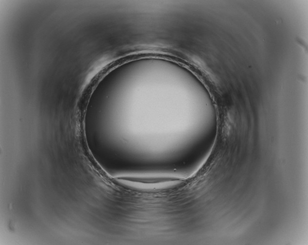X0000098221360200804241334