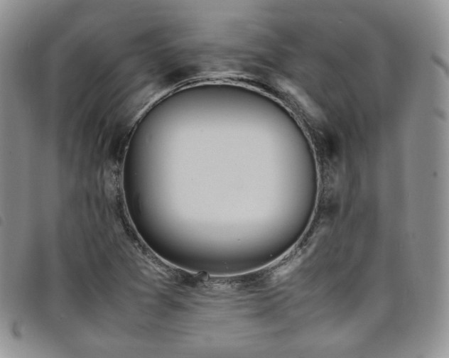 X0000098221361200804241334