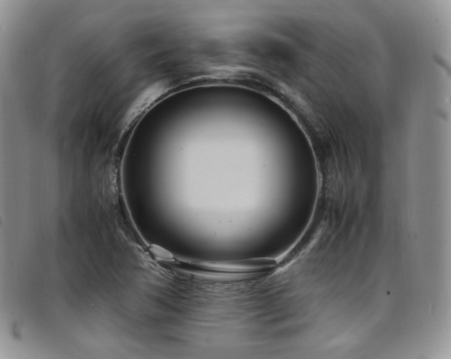 X0000098221362200804241334