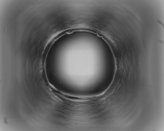 X0000098221364200804241334