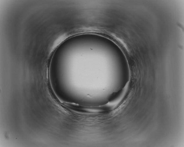 X0000098221365200804241334