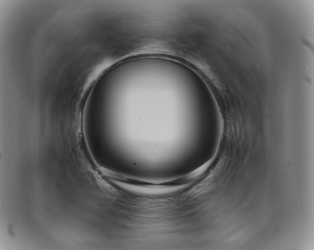 X0000098221366200804241334