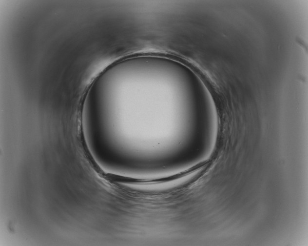 X0000098221367200804241334