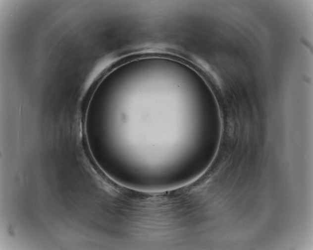 X0000098221368200804241334