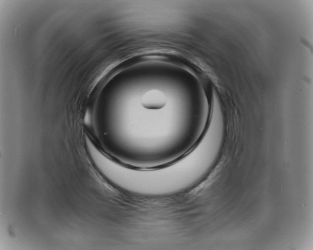 X0000098221369200804241334