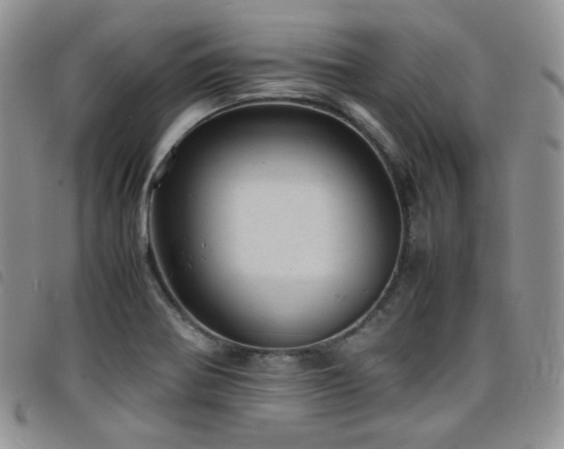 X0000098221370200804241334