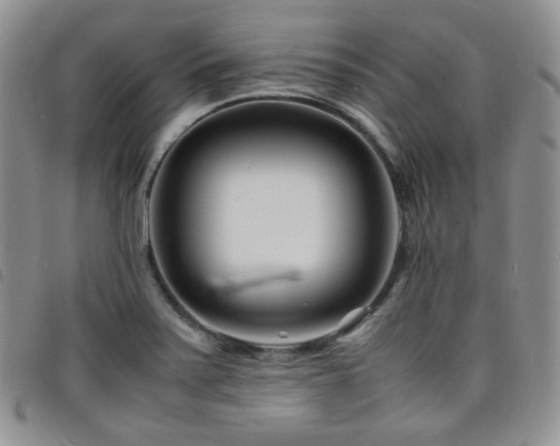 X0000098221371200804241334