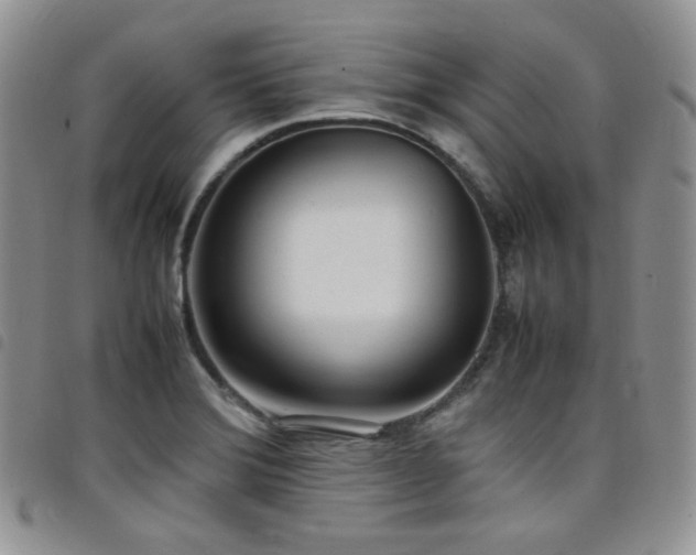 X0000098221372200804241334