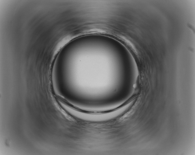 X0000098221373200804241334