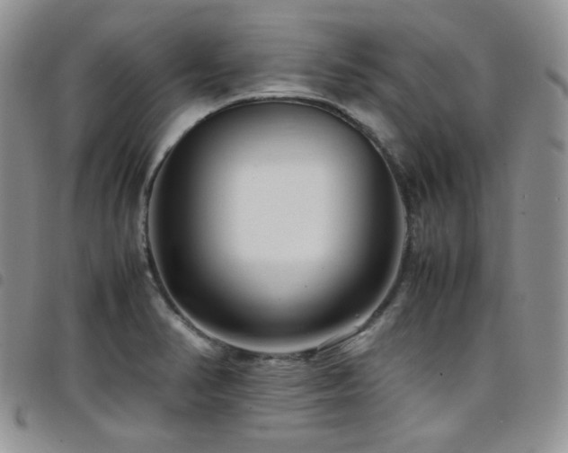 X0000098221374200804241334