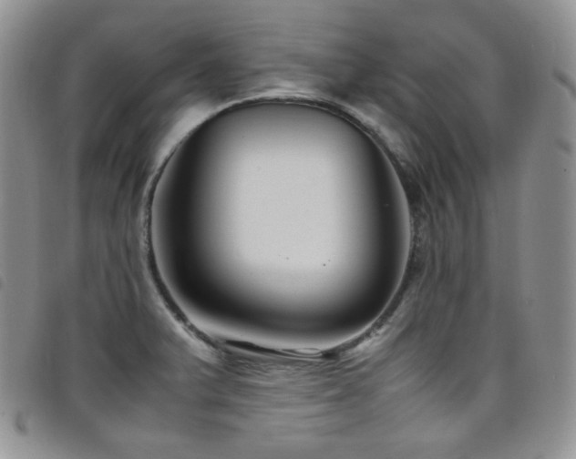 X0000098221375200804241334