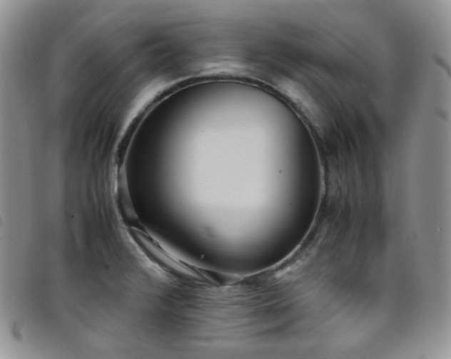 X0000098221376200804241334