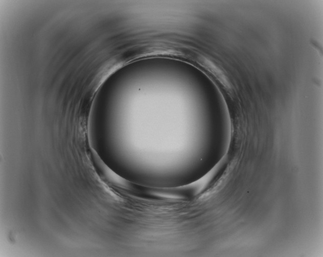 X0000098221377200804241334