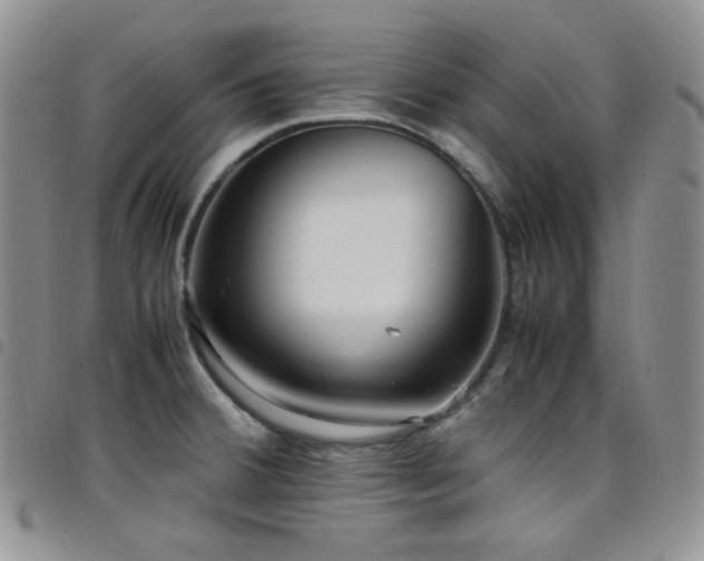 X0000098221380200804241334