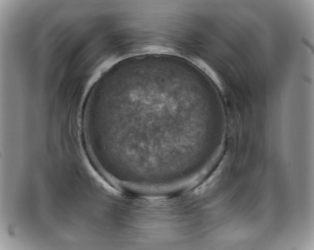 X0000098221381200804241334