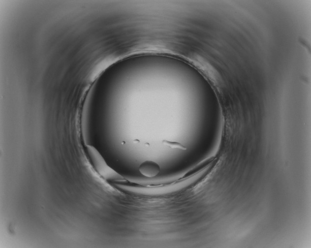 X0000098221382200804241334