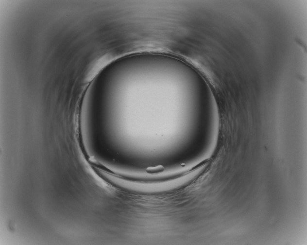 X0000098221383200804241334