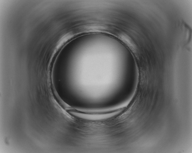 X0000098221384200804241334