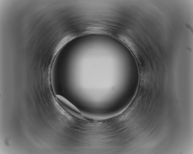 X0000098221386200804241334