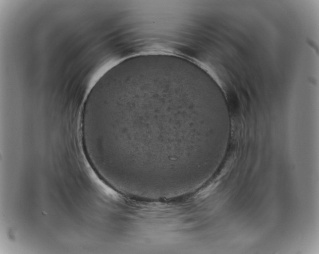X0000098221387200804241334