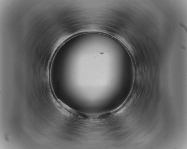 X0000098221388200804241334