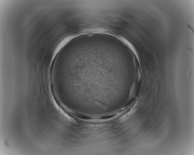 X0000098221389200804241334