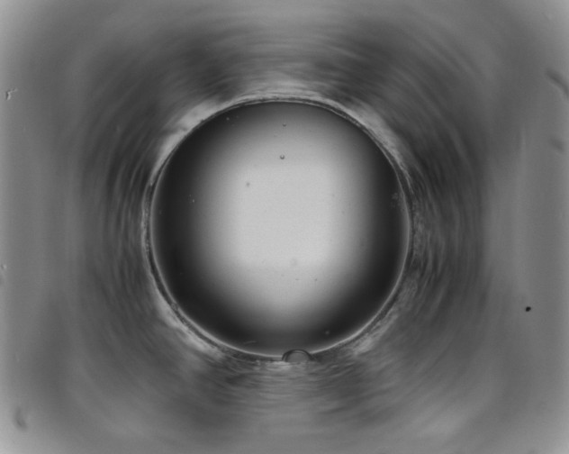 X0000098221390200804241334