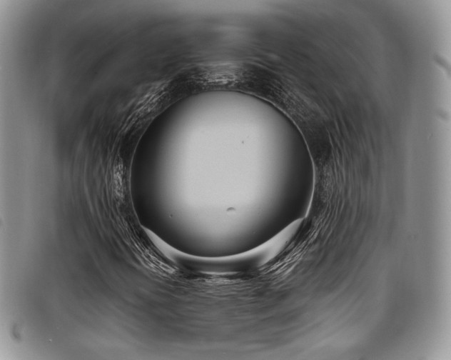 X0000098221394200804241333