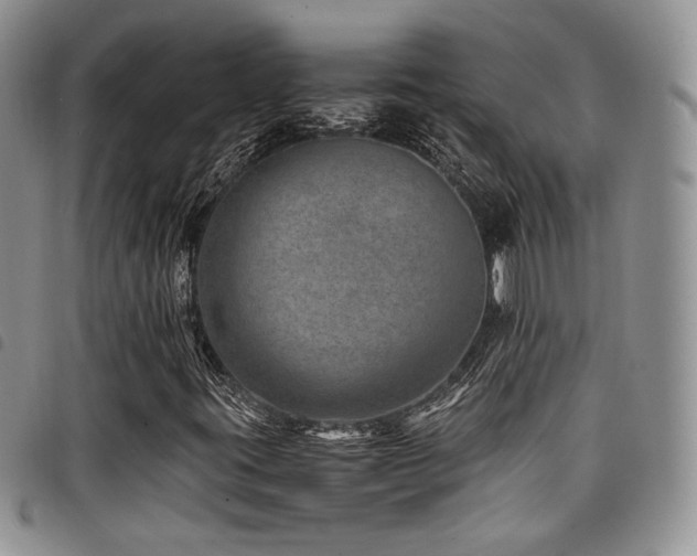 X0000098221395200804241333