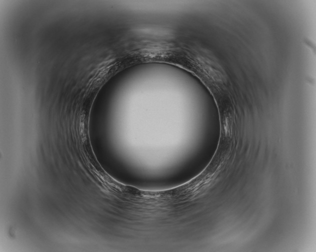 X0000098221396200804241333
