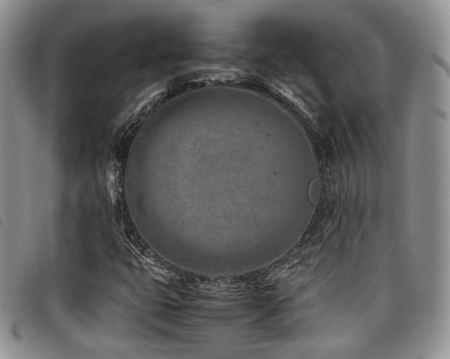 X0000098221399200804241333