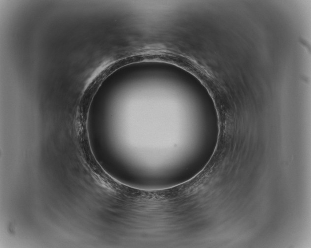 X0000098221400200804241333