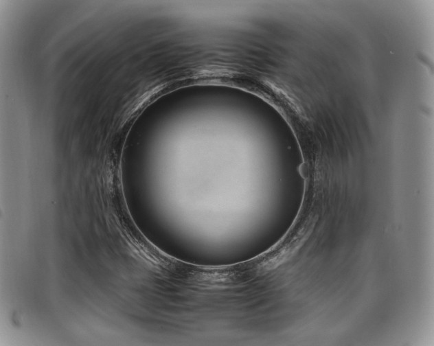 X0000098221401200804241333