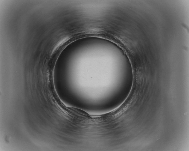 X0000098221402200804241333