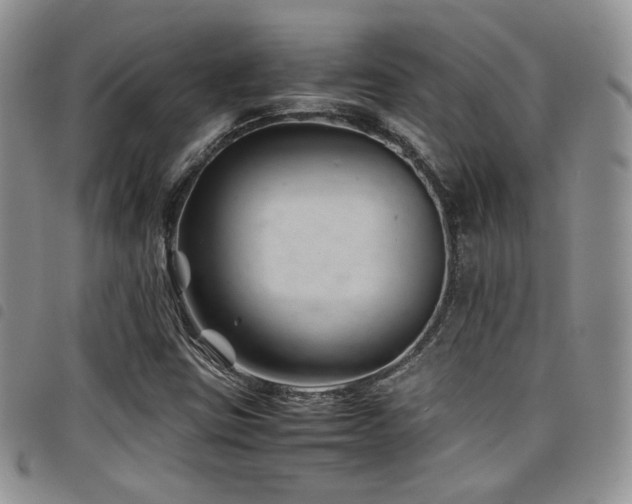 X0000098221403200804241333