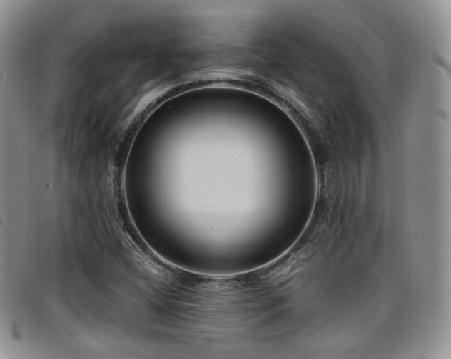 X0000098221404200804241333