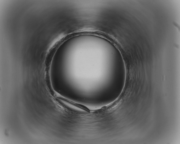 X0000098221406200804241333