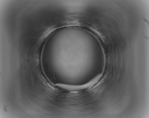 X0000098221407200804241333