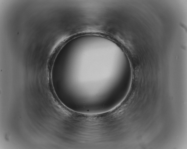 X0000098221408200804241333