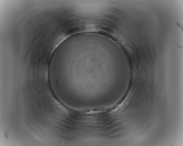 X0000098221409200804241333
