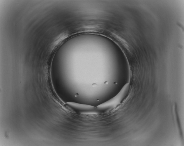 X0000098221411200804241333