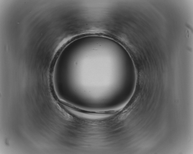 X0000098221412200804241333