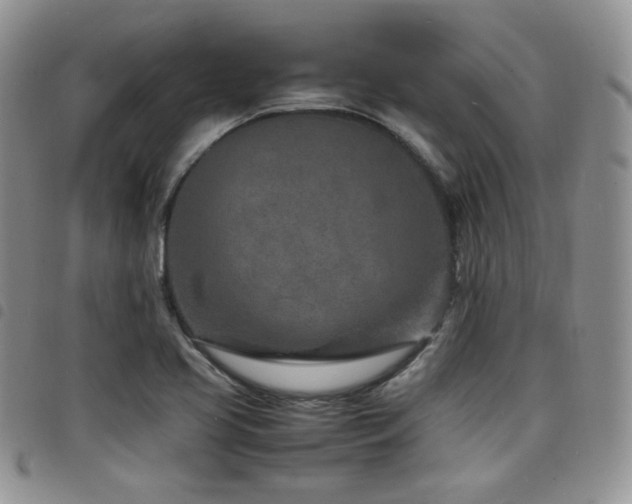 X0000098221413200804241333