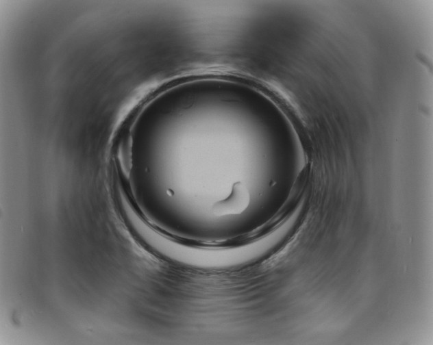 X0000098221414200804241333